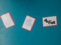 IMG-20171031-WA0005