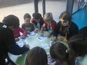 IMG-20171031-WA0006
