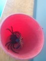 IMG-20171031-WA0029