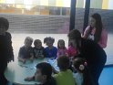 IMG-20171031-WA0037