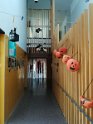 IMG-20171031-WA0079