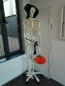 IMG-20171031-WA0080