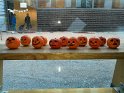 IMG-20171031-WA0092