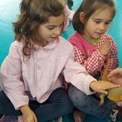 ALCSIIF5‚�ÐX����ê‡�ñQ�;‘þÿÒ��ÌÄÿÿ0�-��½îÿÿ¤	ÿÿ �����SY��¸]��*Y��‡]��*9���ÿËYß^€®��·Š]7Y©]HY��������������������������������������������G���™��>}��æ‘��?�œ���������������������������������������������������������������������������������ALCE������������������������������������������������������������������������������������������������������������������������������������������������������������������������������������������������������������������������������������������������������������������������������������������������������������������������������������������������������������������������������������������������������������������������������������������������������������������������������������������������������������������������������������������������������������������������������������������������������������������������������������������������������������������������������������������������������������������������������������������������������������������������������������������������������������������������������������������������������������������������������������������������������������������������������������������������������������������������������������������������������������������������������������������������������������������������������������������������������������������������������������FAFA�Ô�¨�»����FAFA�������������Á�‰ã�Ä�1Ë�Ç�ž�Ê�¦�Í�¹S�Ô�Æ�������Þ�h/�Ô�Îé�Í�
�Ê�#ä�Ç��Ä�ræ�Á�ƒ@�¾�ž�º�ç�¶�
å�������»�™°�»�™°�»�™°�������������������������������������������������������������:
�ž�������������������‚��������%��FAFA������������������������������������������������������������®®®®Y��
ˆ‚��¯¯¯¯��¾¾¾¾��¿¿¿¿d��ÎÎÎÎÏÏÏÏ����ÞÞÞÞ)�+�àààà�������ÿ���êêêê2�+���æ$$ëëëë��
����Y–ìììì���X�¨�‘�íííí������������������������������������������������������������������������������������������������������������������������������������������������������������������������������������������������������������������������������������������������������������ÿîÝÌ�PCL1000000 CALT13QLIA00VM CRC01