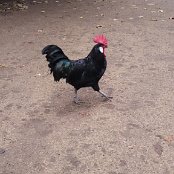 ALCSIIF5Ù: L    Ö« X- ˜ãþÿïÿÿ¡¡ÿÿ1� 0Îÿÿ‰åÿÿÉSÿÿ¯Æ    É_  Wb  äa  Hb  ‘œ  ÿŽcKc Í  ·EbàaYb bf    áú                                    €G�  ™  >}  æ‘  ? œ                                                                                 ALCE                                                                                                                                                                                                                                                                                                                                                                                                                                                                                                                                                                                                                                                                                                                                                                                                                                                                                                                                                                                                                                                                                                                                    FAFA Ô ¨ ±    FAFA             ¾ ¿Ì UÁ í NÄ gå IÇ ÉÕ @      Ê fŒ ;Ç Þû CÄ é LÁ z V¾ 6í `º ¼Õ o¶ á› |² ó …­ £� }      ± ~A q± ~A q± ~A q                                                                                                       :    ´       FAFA                                                            ®®®®L  
¬m  ¯¯¯¯Ø   ¾¾¾¾   ¿¿¿¿¯  ÎÎÎÎÝ Ý ÏÏÏÏ    ÞÞÞÞ) ) àààà       ÿ   êêêê ) /           ëëëë  K q á7íììììÖ   8 È Ã íííí                                                                                                                                                                                                                                                            ÿîÝÌ PCL1000000 CALT13QLIA00VM CRC01