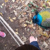 ALCSIIF5ºJ {A    µ 
H #™þÿÒ  ùºÿÿ± W%  ]óÿÿ°èþÿó#     J`  Ya  `  4a  H  ÿ¼`aªß  ·(a`„a€`    Ú                                   €G�  ™  >}  æ‘  ? œ                                                                                 ALCE                                                                                                                                                                                                                                                                                                                                                                                                                                                                                                                                                                                                                                                                                                                                                                                                                                                                                                                                                                                                                                                                                                                                    FAFA Ô ¨ º    FAFA"             ñ M ç =" Þ „
 Ô ™ß #Í  Õ 1Ê ò 8Ç §¿ :Ä mF RÁ C_ ~¾ Y �º æ� ’      ¶ Žá �º aò ™¾ ”[ �Á PÛ ‚Ä /è €      º Æ� ˜º Æ� ˜º Æ� ˜      º Æ� ˜º Æ� ˜º Æ� ˜º Æ� ˜º Æ� ˜º Æ� ˜º Æ� ˜º Æ� ˜º Æ� ˜                         J    ¤      FAFA                                                            ®®®®A  
µ(  ¯¯¯¯ö   ¾¾¾¾	  ¿¿¿¿˜  ÎÎÎÎ÷ ÷ ÏÏÏÏ    ÞÞÞÞ( - àààà       ÿ   êêêê * )           ëëëë  
  ÿÿìììì   xˆ
 “ íííí                                                                                                                                                                                                                                                            ÿîÝÌ PCL1000000 CALT13QLIA00VM CRC01