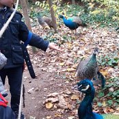 ALCSIIF5ÚJ cJ    À 4F Ú˜þÿó   m»ÿÿß ³$  $ñÿÿøêþÿå#     	`  „b  `  ab  Zž  ÿ�`kb€Û  ·ab
`‹b`                                       €G�  ™  >}  æ‘  ? œ                                                                                 ALCE                                                                                                                                                                                                                                                                                                                                                                                                                                                                                                                                                                                                                                                                                                                                                                                                                                                                                                                                                                                                                                                                                                                                    FAFA Ô ¨ ­    FAFA             Á ¥T Ä *¿ Ç Ÿ€ Ê L¨       Í ôÓ Ê ¸ˆ Ç æ Ä Îi Á ù} ¾ 2’ º 0 ¶ ŽÍ !² 5w +­ &! 1¨ Ó� )      ­ JŒ *­ JŒ *­ JŒ *      ­ JŒ *­ JŒ *­ JŒ *­ JŒ *­ JŒ *­ JŒ *­ JŒ *                                           8    ¤    à  FAFA                                                            ®®®®J  
À8  ¯¯¯¯ô   ¾¾¾¾Ö  ¿¿¿¿Ì  ÎÎÎÎó ó ÏÏÏÏ    ÞÞÞÞ) ) àààà       ÿ   êêêê 0 '           ëëëë  4 ? ãÈ¾ììììÿ   Ñ / š íííí                                                                                                                                                                                                                                                            ÿîÝÌ PCL1000000 CALT13QLIA00VM CRC01