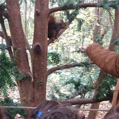 ALCSIIF5[È OQ    Å ²D »—þÿ’#  Î»ÿÿ@  ò#  Rîÿÿíþÿ•$      _  c   _  ób  “ç  ÿŒ\$`jÕ  ·üb¨_$c®_                                       €G�  ™  >}  æ‘  ? œ                                                                                 ALCE                                                                                                                                                                                                                                                                                                                                                                                                                                                                                                                                                                                                                                                                                                                                                                                                                                                                                                                                                                                                                                                                                                                                    FAFA Ô ¨ ½    FAFA             Ç 6û >Ä Hñ 6Á ¯£ ?¾ ½Ù =º :Œ C      ¶ üO -º ëÅ 2¾ o 5Á -� 0Ä |[ 2      ½ 5« H½ 5« H½ 5« H      ½ 5« H½ 5« H½ 5« H½ 5« H                                                                                           á        ß  FAFA                                                            ®®®®Q  
Åâ  ¯¯¯¯  ¾¾¾¾Õ  ¿¿¿¿d  ÎÎÎÎÏÏÏÏ    ÞÞÞÞ( * àààà       ÿ   êêêê * -           ëëëë  4 H ù¾ïÝììììï   ç  ª íííí                                                                                                                                                                                                                                                            ÿîÝÌ PCL1000000 CALT13QLIA00VM CRC01