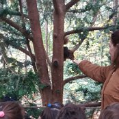 ALCSIIF5íî ³N    ÑÆ kE .™þÿf!  œ»ÿÿÖ Œ$  ´ðÿÿÌëþÿ€#     `  4c  ß_  Nc  h°  ÿ×_`aêÌ  ·7cÓ_=c`                                       €G�  ™  >}  æ‘  ? œ                                                                                 ALCE                                                                                                                                                                                                                                                                                                                                                                                                                                                                                                                                                                                                                                                                                                                                                                                                                                                                                                                                                                                                                                                                                                                                    FAFA Ô ¨ Ä    FAFA
             Á 2F †Ä ^T “Ç 2Î ‡Ê Ðn tÍ 9 p      Ä FA Ä FA Ä FA                                                                                                                                                              î        �  FAFA                                                            ®®®®O  
Çï  ¯¯¯¯  ¾¾¾¾ˆ  ¿¿¿¿d  ÎÎÎÎÏÏÏÏ    ÞÞÞÞ( ' àààà       ÿ   êêêê ' '           ëëëë  5 E =ç¼ììììþ   ê  � íííí                                                                                                                                                                                                                                                            ÿîÝÌ PCL1000000 CALT13QLIA00VM CRC01