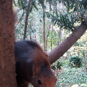 ALCSIIF5ÿ2 KL    >Õ ©F .žþÿ)  @»ÿÿ @&  ¦÷ÿÿÇèþÿ”     Na  ld  �a  ~d  *`  ÿOdeUî  ·”d‡a|dþ`    ð                                   €G�  ™  >}  æ‘  ? œ                                                                                 ALCE                                                                                                                                                                                                                                                                                                                                                                                                                                                                                                                                                                                                                                                                                                                                                                                                                                                                                                                                                                                                                                                                                                                                    FAFA Ô ¨ ½    FAFA             Ç ŒÉ ’Ä ¥C •Á Ú* œ¾ ¿Y ¢º Y� Ä¶ 9Z      ² ÈG ê¶ ?Q éº }à Û¾ ›Á «q Ø      ½ ]» ¨½ ]» ¨½ ]» ¨      ½ ]» ¨½ ]» ¨½ ]» ¨½ ]» ¨½ ]» ¨½ ]» ¨½ ]» ¨½ ]» ¨½ ]» ¨½ ]» ¨½ ]» ¨½ ]» ¨                                     t        ;  FAFA                                                            ®®®®L  
Õu  ¯¯¯¯  ¾¾¾¾-  ¿¿¿¿d  ÎÎÎÎ		ÏÏÏÏ    ÞÞÞÞ( $ àààà       ÿ   êêêê $ +           ëëëë  4 F "d®Üììììä   Ò . · íííí                                                                                                                                                                                                                                                            ÿîÝÌ PCL1000000 CALT13QLIA00VM CRC01