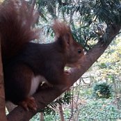 ALCSIIF5z� ,P    Ø ÔE ¦�þÿ…  u»ÿÿ° Û%  1öÿÿîéþÿâ     a  Çd  a  ñd  ç
  ÿªbNeî  ·êdï`¶d·a    ¥                                   €G�  ™  >}  æ‘  ? œ                                                                                 ALCE                                                                                                                                                                                                                                                                                                                                                                                                                                                                                                                                                                                                                                                                                                                                                                                                                                                                                                                                                                                                                                                                                                                                    FAFA Ô ¨ Ç    FAFA
             Ä i~[Ç ¼S}Ê YWÍ dAÔ šj      Ç ?Ç ?Ç ?                                                                                                                                                             „        ;  FAFA                                                            ®®®®P  
Ø¡  ¯¯¯¯  ¾¾¾¾$  ¿¿¿¿d  ÎÎÎÎÏÏÏÏ    ÞÞÞÞ( - àààà       ÿ   êêêê - /           ëëëë  4 E Vc§Ìììììú    à
 ¦ íííí                                                                                                                                                                                                                                                            ÿîÝÌ PCL1000000 CALT13QLIA00VM CRC01