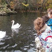 ALCSIIF5æK áa    „z X- ˜ãþÿïÿÿ¡¡ÿÿ1� 0ÎÿÿˆåÿÿÈSÿÿ¯Æ    ¾W  c\  ðW  �\  ø9  ÿÐ[_ê»  ·ƒ\ìW_\²Wœ    Îþ                                   WDG�  ™  >}  æ‘  ? œ                                                                                 ALCE                                                                                                                                                                                                                                                                                                                                                                                                                                                                                                                                                                                                                                                                                                                                                                                                                                                                                                                                                                                                                                                                                                                                    FAFA Ô ¨ ¸    FAFA"             Ä ’â DÇ ^† ?Ê V 9Í ýO 3      Ô I #Í p— -Ê )‰ 4Ç !) ?Ä á– FÁ .– I¾ õÈ Kº âÒ N¶ ÍŠ O² !¨ H      ¸ o… J¸ o… J¸ o… J      ¸ o… J¸ o… J¸ o… J¸ o… J¸ o… J¸ o… J¸ o… J¸ o… J¸ o… J¸ o… J¸ o… J                         n    Å       FAFA                                                            ®®®®b  
{n  ¯¯¯¯À   ¾¾¾¾   ¿¿¿¿H  ÎÎÎÎÄ Ä ÏÏÏÏ    ÞÞÞÞ) ) àààà       ÿ   êêêê ) -   ¥ÖÎ Öëëëë  4 K 2¶¯ììììë   e›
 ® íííí                                                                                                                                                                                                                                                            ÿîÝÌ PCL1000000 CALT13QLIA00VM CRC01