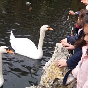 ALCSIIF5ï áf    •v W- ˜ãþÿïÿÿ ¡ÿÿ0� 0ÎÿÿˆåÿÿÉSÿÿ®Æ    ÖV  Ü[  W  Ô[  \³  ÿZ®\@«  ·Ò[ WË[üVÿ    sÿ                                    € G�  ™  >}  æ‘  ? œ                                                                                 ALCE                                                                                                                                                                                                                                                                                                                                                                                                                                                                                                                                                                                                                                                                                                                                                                                                                                                                                                                                                                                                                                                                                                                                    FAFA Ô ¨ Î    FAFA             Á Áÿ Ä Àb Ç ës Ê É³ Í Ã Ô &9 Þ î ç ¤Ø ñ ÖE             Î Od %Î Od %Î Od %                                                                                                      <  oo                   t      FAFA                                                            ®®®®g  
w  ¯¯¯¯²   ¾¾¾¾  ¿¿¿¿Æ   ÎÎÎÎ´ ³ ÏÏÏÏ    ÞÞÞÞ) , àààà       ÿ   êêêê9 ,   9vùvëëëë  4 F ‘Œo¬ììììà   ®R
 » íííí                                                                                                                                                                                                                                                            ÿîÝÌ PCL1000000 CALT13QLIA00VM CRC01