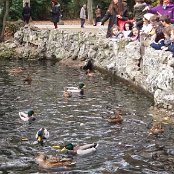 ALCSIIF5à <Z    ø‚ X- ˜ãþÿïÿÿ¡¡ÿÿ0� 0Îÿÿ‰åÿÿÈSÿÿ¯Æ    ¥Y  ž]  wY  p]  
  ÿ´\Ø_ÕÔ  ·w]xY}]ŠY¯    yþ                                    €G�  ™  >}  æ‘  ? œ                                                                                 ALCE                                                                                                                                                                                                                                                                                                                                                                                                                                                                                                                                                                                                                                                                                                                                                                                                                                                                                                                                                                                                                                                                                                                                    FAFA Ô ¨ ¶    FAFA              º cl¾ â1 ùÁ $A éÄ Ÿ§ Ü      Ç Œ¶ ÍÄ è ÝÁ œÔ ï¾ Ÿøº ]5¶ ‹6² wà      ¶ 0g!¶ 0g!¶ 0g!      ¶ 0g!¶ 0g!¶ 0g!¶ 0g!¶ 0g!¶ 0g!¶ 0g!¶ 0g!¶ 0g!¶ 0g!¶ 0g!¶ 0g!¶ 0g!¶ 0g!                         #    b       FAFA                                                            ®®®®Z  
ƒ$  ¯¯¯¯Ç   ¾¾¾¾   ¿¿¿¿¬  ÎÎÎÎÍ Í ÏÏÏÏ    ÞÞÞÞ) ( àààà       ÿ   êêêê ( 0           ëëëë  4 I ÷é›ýììììë   á ® íííí                                                                                                                                                                                                                                                            ÿîÝÌ PCL1000000 CALT13QLIA00VM CRC01