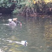 ALCSIIF5aë g`    ª K ì”þÿü  ªÁÿÿ°) ¥   îÿÿ" ÿÿ½     Ù[  “a  É[  �a  ã   ÿ1\Ùa ÿ  ·‰aÀ[ªaâ[Y                                         €G�  ™  >}  æ‘  ? œ                                                                                 ALCE                                                                                                                                                                                                                                                                                                                                                                                                                                                                                                                                                                                                                                                                                                                                                                                                                                                                                                                                                                                                                                                                                                                                    FAFA Ô ¨ ·    FAFA'             ¾ / cÁ <Ç [Ä À VÇ OX Q      Ê v‡ 8Ç åq 5Ä ÕF >Á ªü K¾ Eç Kº åÕ U¶ ƒB Y² �- N      · bŒ \· bŒ \· bŒ \      · bŒ \· bŒ \· bŒ \· bŒ \· bŒ \· bŒ \· bŒ \· bŒ \· bŒ \· bŒ \· bŒ \· bŒ \· bŒ \                             ¤    -  FAFA                                                            ®®®®`  
ªë  ¯¯¯¯ø   ¾¾¾¾!  ¿¿¿¿˜  ÎÎÎÎú ú ÏÏÏÏ    ÞÞÞÞ( & àààà       ÿ   êêêê & &           ëëëë  
  ÿÿìììì   É7 † íííí                                                                                                                                                                                                                                                            ÿîÝÌ PCL1000000 CALT13QLIA00VM CRC01