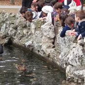 ALCSIIF5ÒX ÇS    !… X- ˜ãþÿïÿÿ¡¡ÿÿ0� 0Îÿÿ‡åÿÿÊSÿÿ¯Æ    [  .^  úZ  %^  A  ÿ=]�^UÖ  ·2^[D^![‚    Ñü                                   /G�  ™  >}  æ‘  ? œ                                                                                 ALCE                                                                                                                                                                                                                                                                                                                                                                                                                                                                                                                                                                                                                                                                                                                                                                                                                                                                                                                                                                                                                                                                                                                                    FAFA  Ô ¨0 º    FAFA             µ ÷÷» &§&Á ÌšÇ û íÇ ¶ú ìÇ ¶ú ìÇ ¶ú ì                                                                                                                                                                         X    Û       FAFA                                                            ®®®®T  
…Y  ¯¯¯¯Â   ¾¾¾¾   ¿¿¿¿5  ÎÎÎÎÂ Â ÏÏÏÏ    ÞÞÞÞ) ( àààà       ÿ   êêêê ( (           ëëëë  4 G ¿T«ììììá   ~‚	 ¹ íííí                                                                                                                                                                                                                                                            ÿîÝÌ PCL1000000 CALT13QLIA00VM CRC01