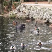 ALCSIIF50u [Y    m† X- ˜ãþÿïÿÿ¡¡ÿÿ0� 0ÎÿÿˆåÿÿÈSÿÿ¯Æ    JZ  8^  Z  x^  ¦’  ÿc]b`•à  ·t^xZX^ZZ    ¯ý                                    €G�  ™  >}  æ‘  ? œ                                                                                 ALCE                                                                                                                                                                                                                                                                                                                                                                                                                                                                                                                                                                                                                                                                                                                                                                                                                                                                                                                                                                                                                                                                                                                                    FAFA Ô ¨ À    FAFA'             ¾ ö éÁ I× ôÄ [� ÊÇ €Ù ¾Ê òŒ °      À  Ö ÞÀ  Ö ÞÀ  Ö Þ      À  Ö ÞÀ  Ö ÞÀ  Ö ÞÀ  Ö ÞÀ  Ö ÞÀ  Ö ÞÀ  Ö ÞÀ  Ö ÞÀ  Ö ÞÀ  Ö ÞÀ  Ö ÞÀ  Ö ÞÀ  Ö ÞÀ  Ö ÞÀ  Ö ÞÀ  Ö ÞÀ  Ö ÞÀ  Ö ÞÀ  Ö ÞÀ  Ö ÞÀ  Ö Þ                         ²            FAFA                                                            ®®®®Y  
†²  ¯¯¯¯Ò   ¾¾¾¾   ¿¿¿¿.  ÎÎÎÎÖ Ö ÏÏÏÏ    ÞÞÞÞ) ' àààà       ÿ   êêêê ' .           ëëëë  7 L Ü^´ììììõ   Ý#	 ¥ íííí                                                                                                                                                                                                                                                            ÿîÝÌ PCL1000000 CALT13QLIA00VM CRC01