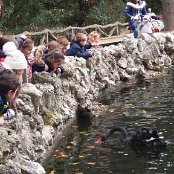 ALCSIIF5ÖÓ è[    f… X- ˜ãþÿïÿÿ¡¡ÿÿ0� 0ÎÿÿˆåÿÿÊSÿÿ¯Æ    ÆY  ^  ¿Y  ^  ßÚ  ÿü[H_@Ø  ·^ÑY^ãYÖ    *þ                                    €G�  ™  >}  æ‘  ? œ                                                                                 ALCE                                                                                                                                                                                                                                                                                                                                                                                                                                                                                                                                                                                                                                                                                                                                                                                                                                                                                                                                                                                                                                                                                                                                    FAFA Ô ¨ ¹    FAFA'             Ç å ØÄ –ô âÁ kÐ ò¾ ‚l º EP¶ â      ² ¶ Fº Hº¾ Kæ Á Ð ó      ¹ 9¿¹ 9¿¹ 9¿      ¹ 9¿¹ 9¿¹ 9¿¹ 9¿¹ 9¿¹ 9¿¹ 9¿¹ 9¿¹ 9¿¹ 9¿¹ 9¿¹ 9¿¹ 9¿¹ 9¿                         Ê    M       FAFA                                                            ®®®®\  
…Ë  ¯¯¯¯Ï   ¾¾¾¾   ¿¿¿¿Æ  ÎÎÎÎÏ Ï ÏÏÏÏ    ÞÞÞÞ) ) àààà       ÿ   êêêê ) (           ëëëë  4 I q35¬ììììé   {…
 ± íííí                                                                                                                                                                                                                                                            ÿîÝÌ PCL1000000 CALT13QLIA00VM CRC01