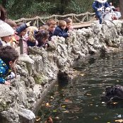 ALCSIIF5·Ê æ[    g… X- ˜ãþÿïÿÿ¡¡ÿÿ0� 0ÎÿÿˆåÿÿÊSÿÿ¯Æ    ÆY  ^  ÛY  
^  àÜ  ÿ\u_€Ø  ·û]ÀY^áYÕ    +þ                                    €G�  ™  >}  æ‘  ? œ                                                                                 ALCE                                                                                                                                                                                                                                                                                                                                                                                                                                                                                                                                                                                                                                                                                                                                                                                                                                                                                                                                                                                                                                                                                                                                    FAFA Ô ¨ ¹    FAFA'       ¹ 9¿¹ 9¿¹ 9¿¹ 9¿¹ 9¿¹ 9¿¹ 9¿¹ 9¿¹ 9¿¹ 9¿¹ 9¿¹ 9¿¹ 9¿¹ 9¿¹ 9¿¹ 9¿¹ 9¿¹ 9¿¹ 9¿¹ 9¿¹ 9¿¹ 9¿¹ 9¿¹ 9¿¹ 9¿¹ 9¿¹ 9¿¹ 9¿¹ 9¿¹ 9¿¹ 9¿¹ 9¿                         Ó    M       FAFA                                                            ®®®®\  
…Ô  ¯¯¯¯Î   ¾¾¾¾   ¿¿¿¿Æ  ÎÎÎÎÏ Ï ÏÏÏÏ    ÞÞÞÞ) ( àààà       ÿ   êêêê ( )           ëëëë  4 I Sƒåœììììé   ’n
 ± íííí                                                                                                                                                                                                                                                            ÿîÝÌ PCL1000000 CALT13QLIA00VM CRC01