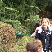 ALCSIIF5± ƒa    íl X- ˜ãþÿïÿÿ ¡ÿÿ0� 0Îÿÿ‡åÿÿÉSÿÿ¯Æ    €V  ‘Z  ÆV  ØZ  …ä   ÿû]0cU…  ·òZÎV“Z¨V'    ¶ÿ                                    €G�  ™  >}  æ‘  ? œ                                                                                 ALCE                                                                                                                                                                                                                                                                                                                                                                                                                                                                                                                                                                                                                                                                                                                                                                                                                                                                                                                                                                                                                                                                                                                                    FAFA Ô ¨ Ã    FAFA'             Í C ˜Ê ‚õ  Ç LË �Ä 4° …      Á f¦ ŽÄ µì �Ç 
Š ŒÊ ã¸ zÍ Y' v      Ã :� šÃ :� šÃ :� š      Ã :� šÃ :� šÃ :� šÃ :� šÃ :� šÃ :� šÃ :� šÃ :� šÃ :� šÃ :� šÃ :� šÃ :� šÃ :� šÃ :� šÃ :� šÃ :� š                         ¨    !       FAFA                                                            ®®®®b  
l±  ¯¯¯¯Ë   ¾¾¾¾   ¿¿¿¿ÿ  ÎÎÎÎÓ Ó ÏÏÏÏ    ÞÞÞÞ) * àààà       ÿ   êêêê* *   W
Lëëëë  6 D I:OÛììììý   " Þ › íííí                                                                                                                                                                                                                                                            ÿîÝÌ PCL1000000 CALT13QLIA00VM CRC01